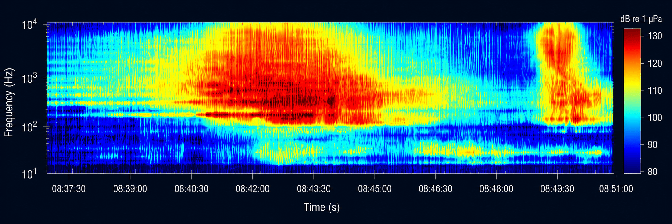 Spectrogram of hydrophone recording, 0–20 kHz